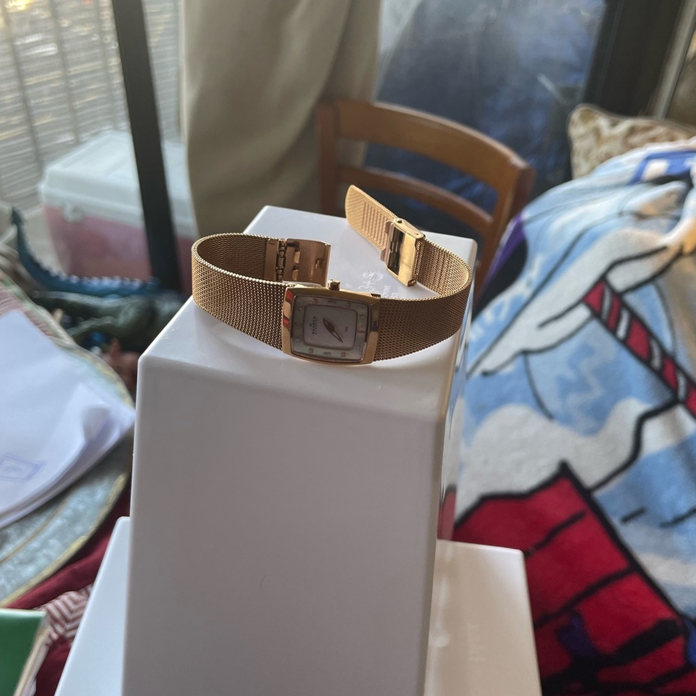 Gold Mesh Strap Watch